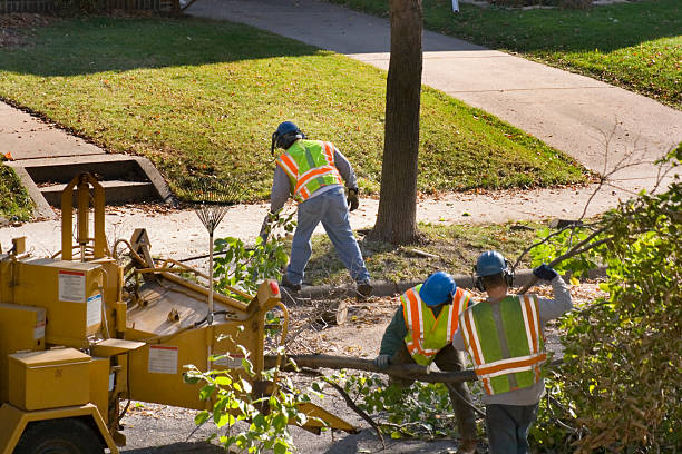 Best Landscape Design and Installation  in Ellerslie, GA